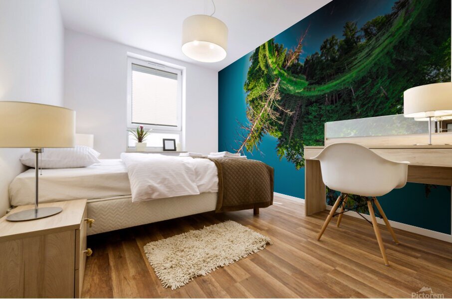 Huron Reflections  stitch Mural print