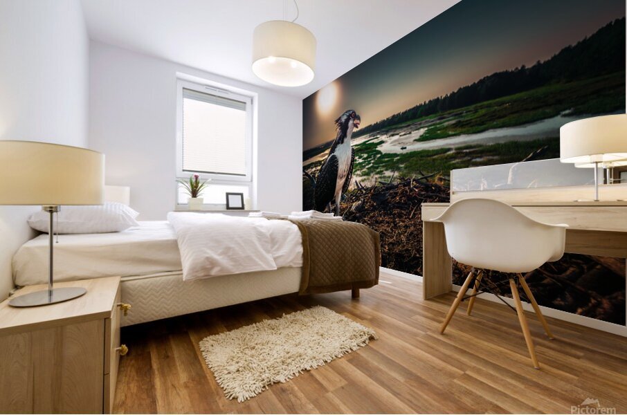Osprey Hunted 2 Mural print