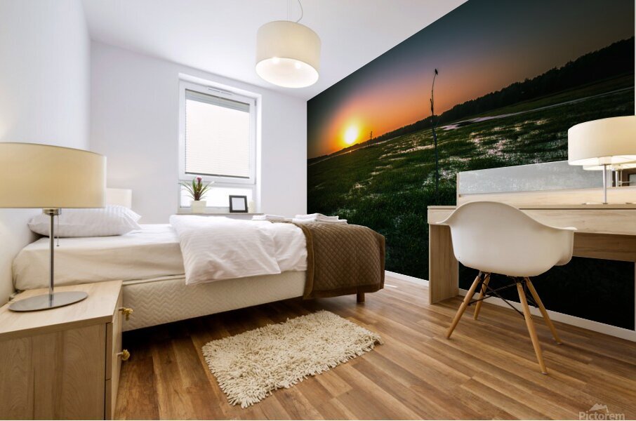 Oberon Pops Mural print