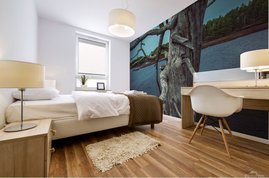 Osprey Peaking Mural print