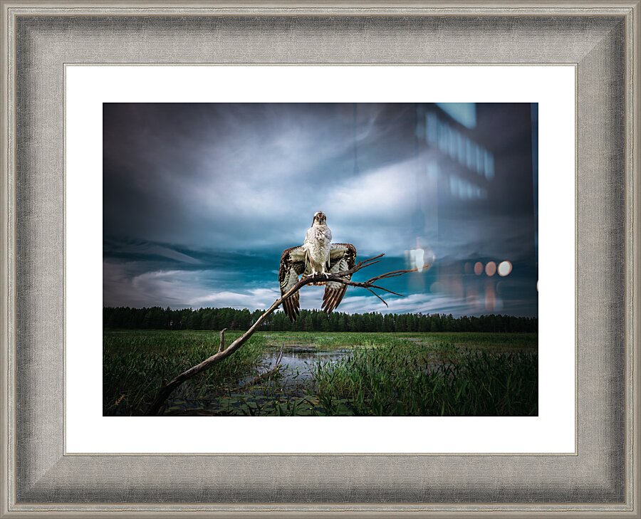 Pops Wings 1 Picture Frame Printing