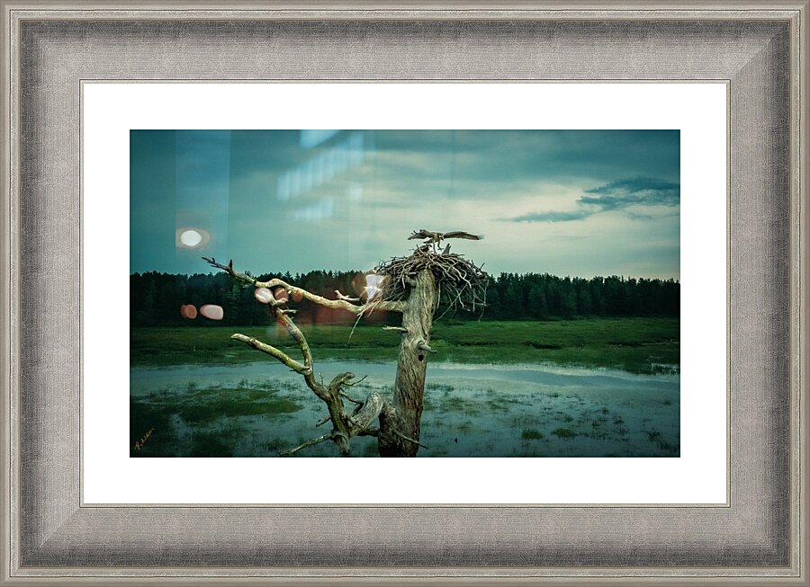 test flight 0246 Picture Frame print