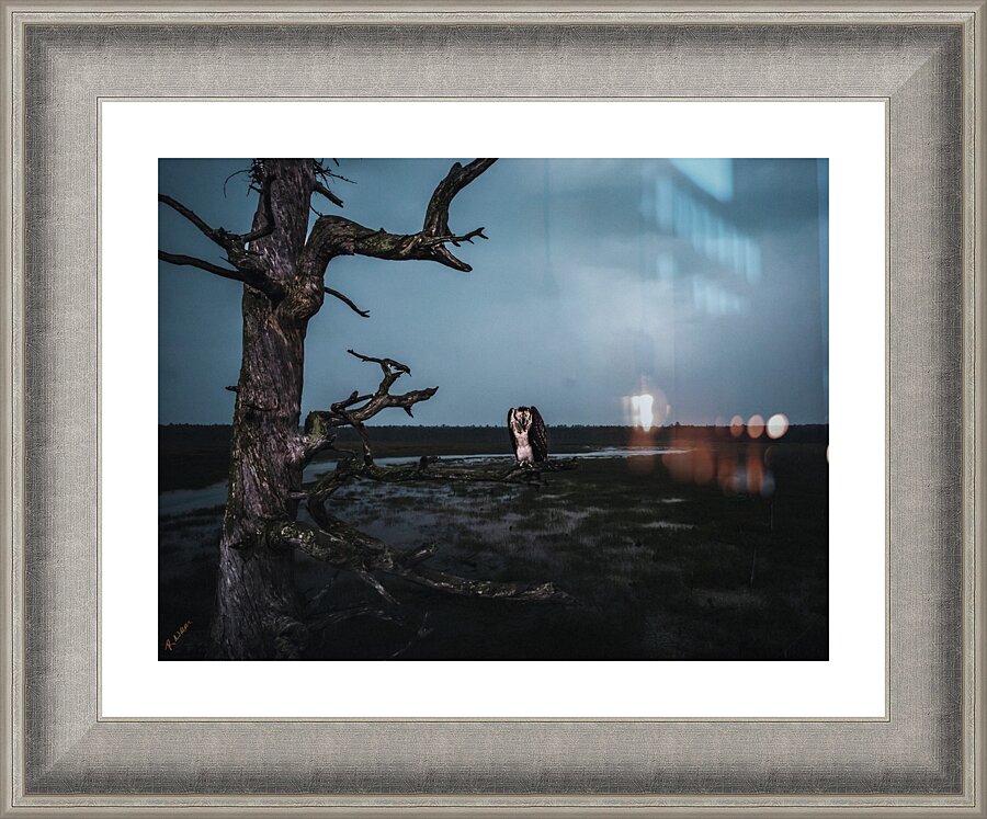Sad Bird Revised Picture Frame print