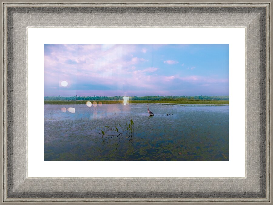 Soft Bird Rev Picture Frame print