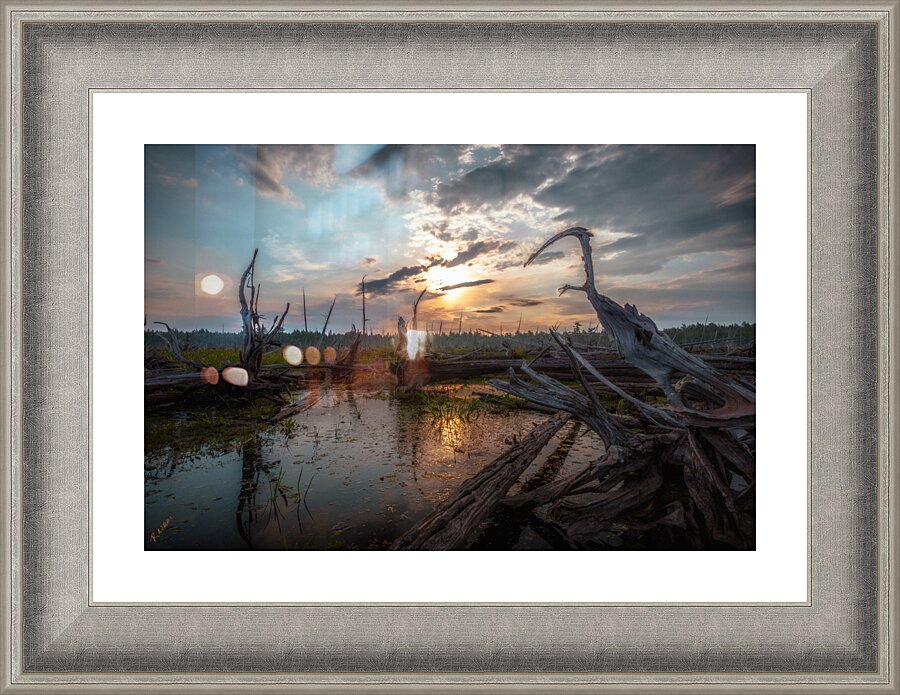 Swamp Dragon Picture Frame print