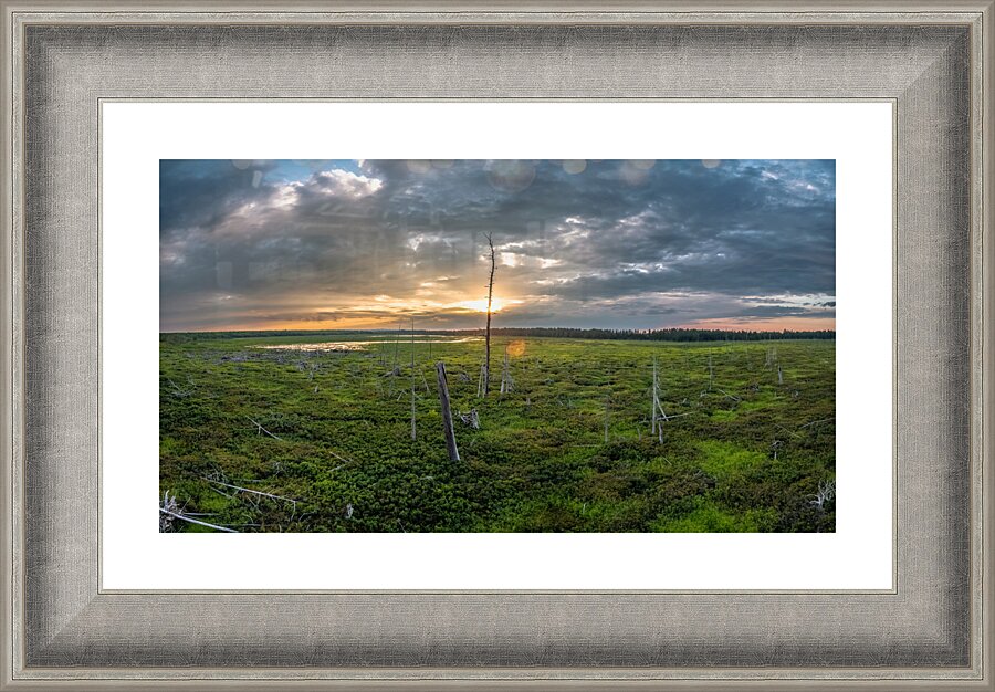 Levasseur Picture Frame print