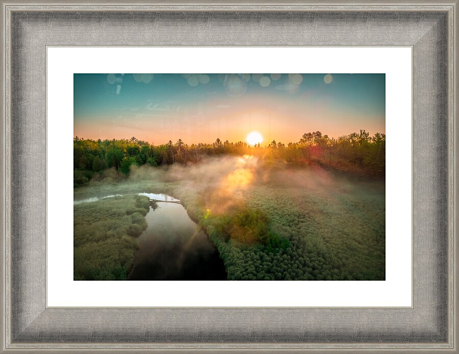 foggy carp 2 Picture Frame print