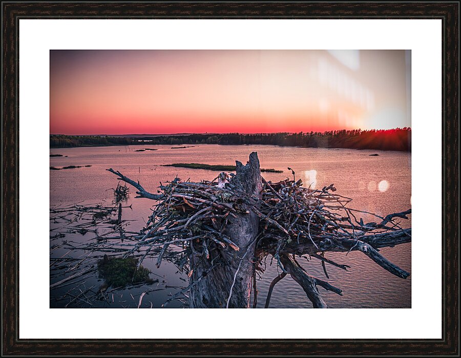 Twinkle Eye Picture Frame Printing