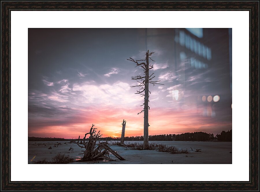 no bird tree Picture Frame Printing