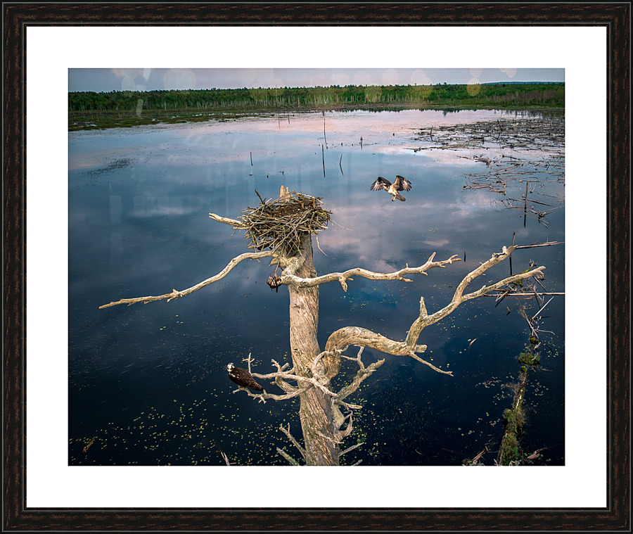 Shift Change Picture Frame print