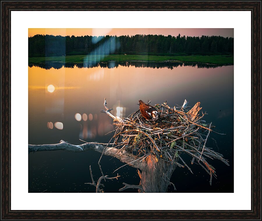 Egg Ma Picture Frame Printing