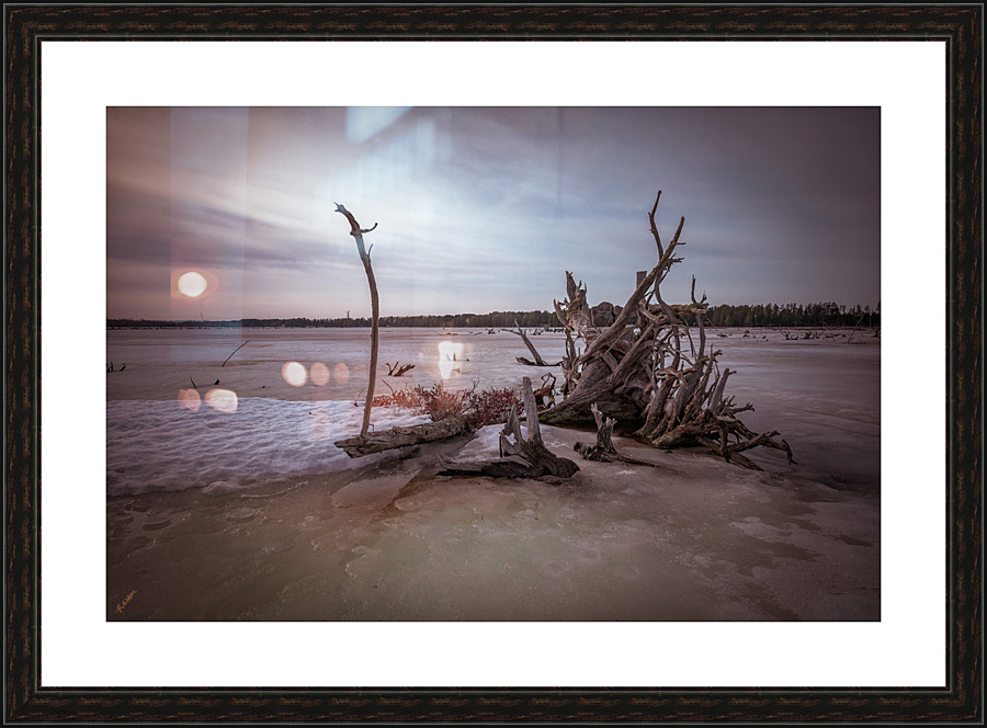 LeVasseur Wood 23 Picture Frame print