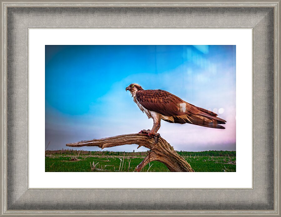 pops Oblique Picture Frame Printing