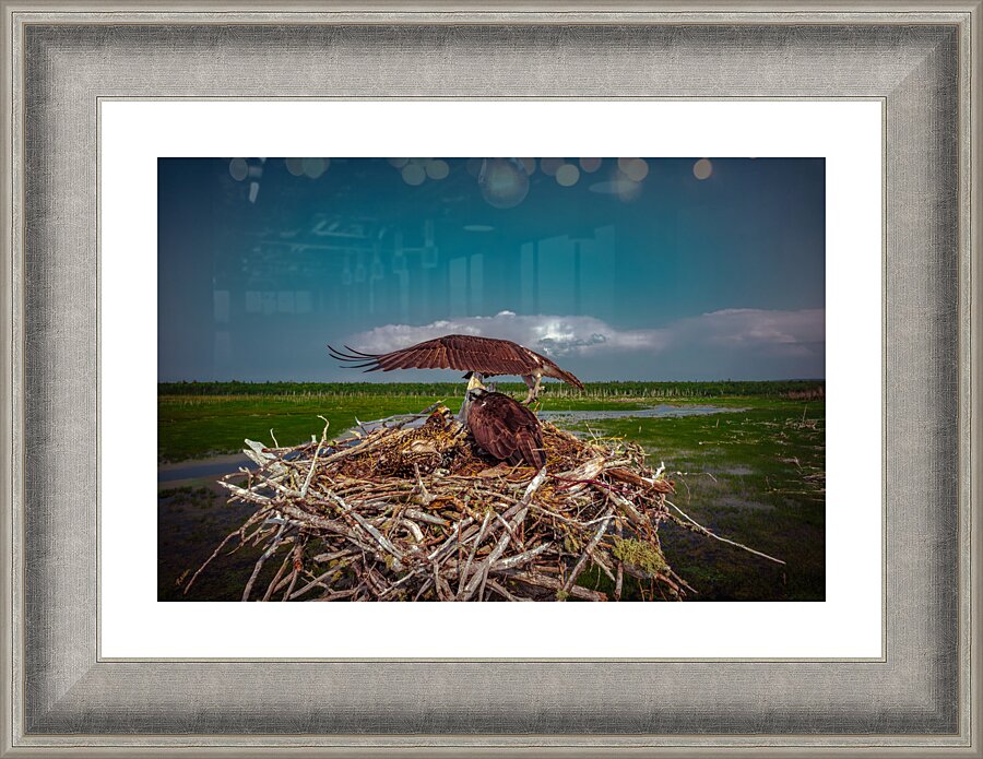 Pops Umbrella ella ella Picture Frame Printing