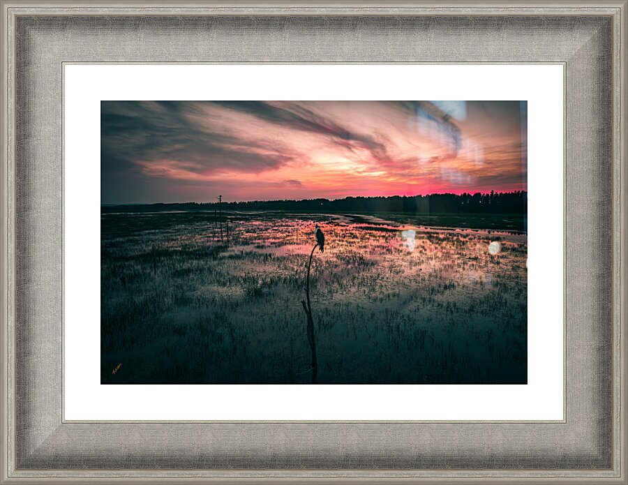 Pops on Fire Picture Frame print