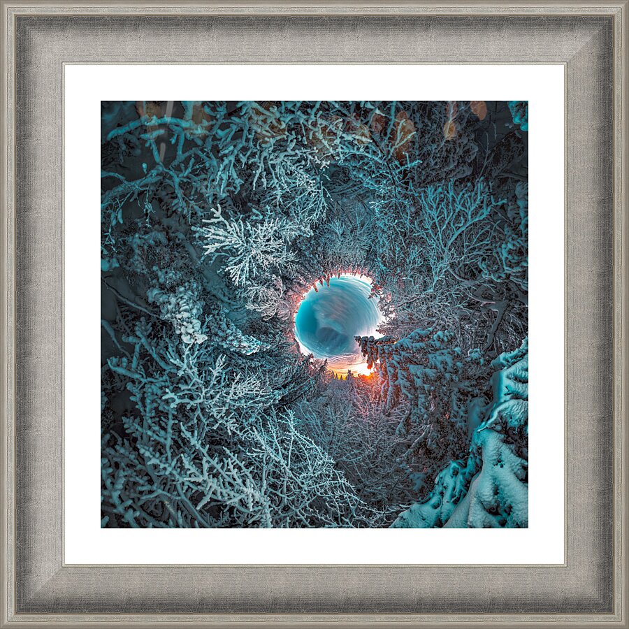 tree tip buffalo Picture Frame Printing