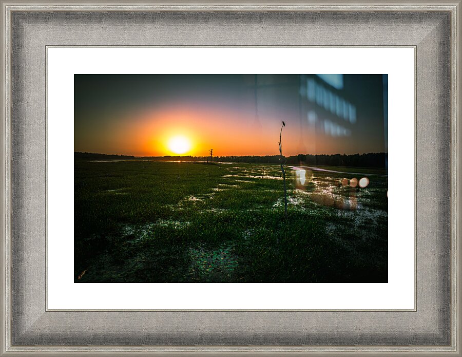 Oberon Pops Picture Frame Printing