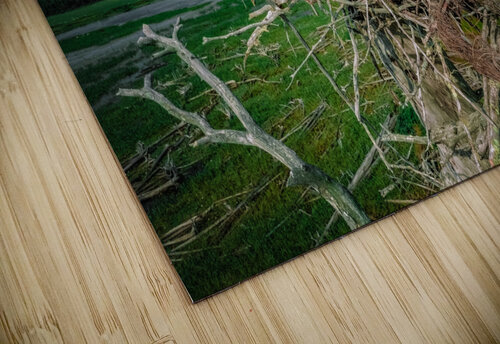 Grit Bird Revised Hunter Wade puzzle