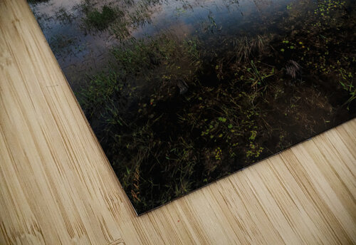 levasseur fluffy cloud reflect 1 Hunter Wade puzzle