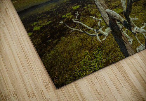 wheres lunch Hunter Wade puzzle