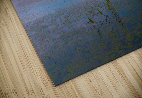 Soft Bird Rev Hunter Wade puzzle