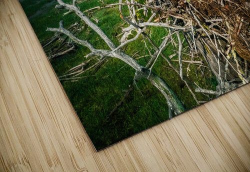 Bird Fam Premium 2 Hunter Wade puzzle