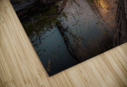 Swamp Dragon Hunter Wade puzzle
