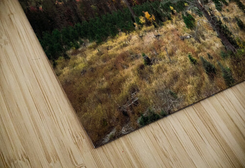 Another Mulligan tree Hunter Wade puzzle