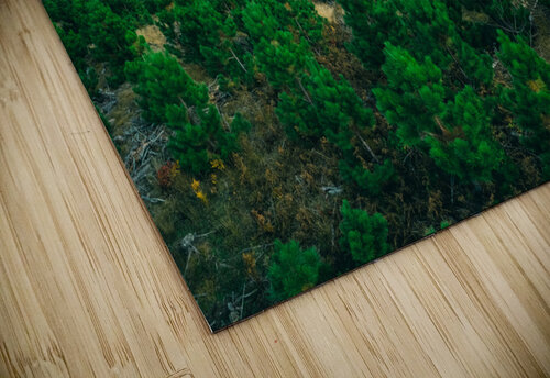 Mulligan Tree Hunter Wade puzzle