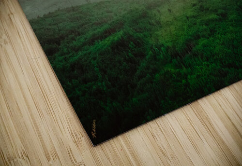 Superior Mist glow Hunter Wade puzzle
