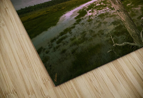 purple bird rev Hunter Wade puzzle