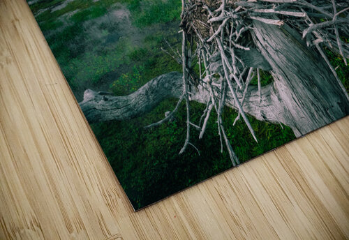 bright bird 0745 Hunter Wade puzzle