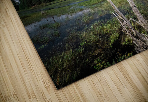 intense bird 0052 Hunter Wade puzzle