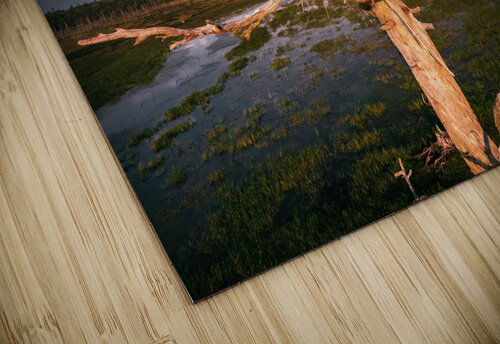 clean bird 0501 Hunter Wade puzzle