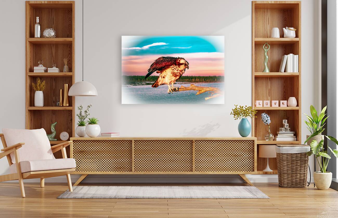 Care a Lot Osprey Reproduction