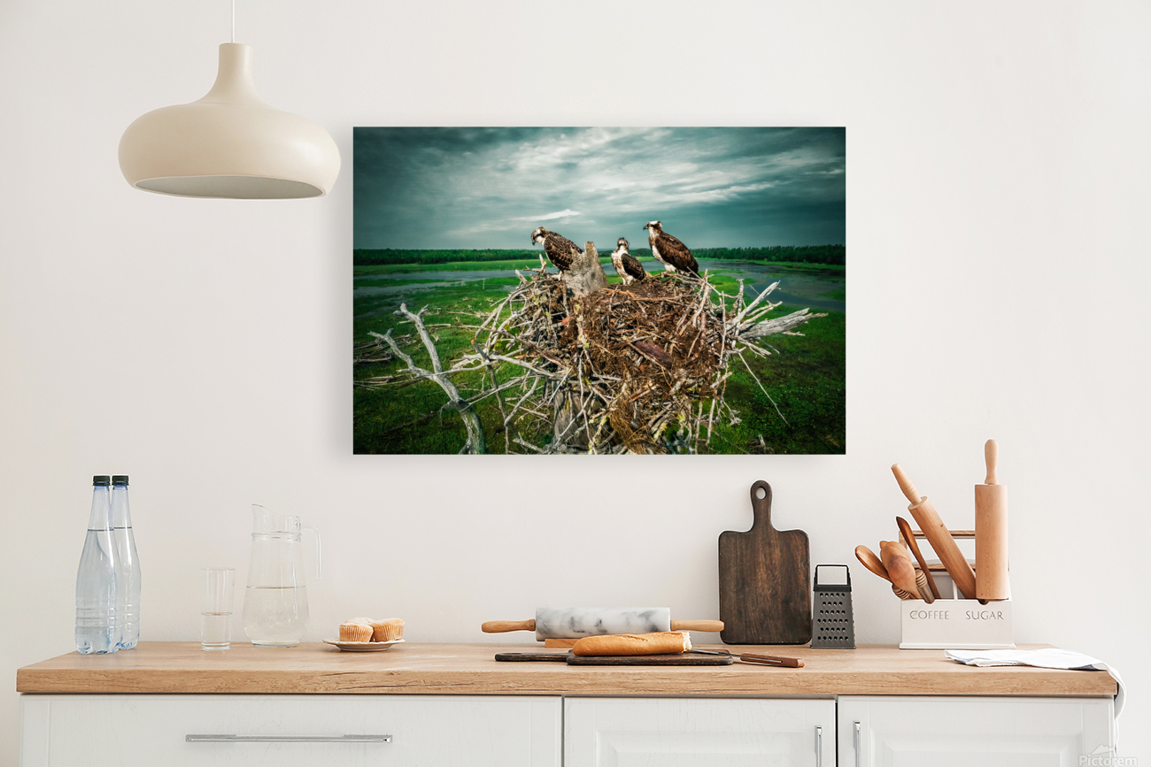 Bird Fam Premium 2 Reproduction