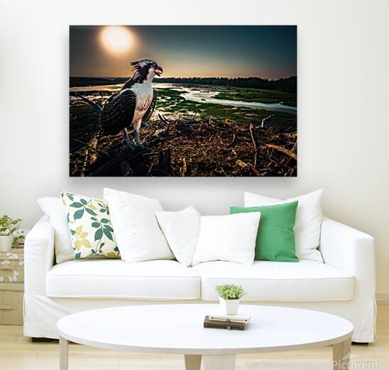 Osprey Hunted 2 Reproduction