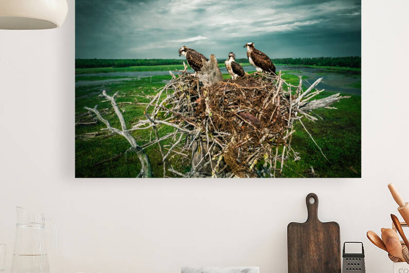 Bird Fam Premium 2 Reproduction