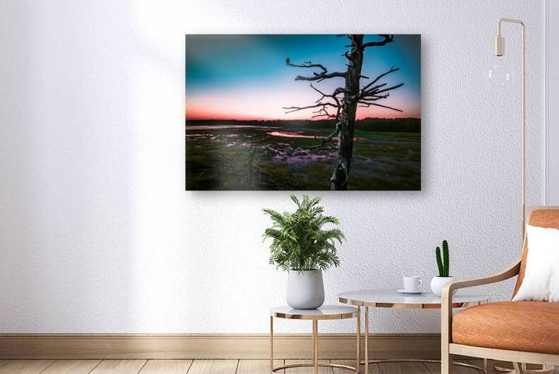 I Heart Osprey Tree O.E. by Hunter Wade