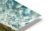 Mulligan Tree HD Metal print