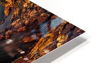 Middle Island Wrap HD Metal print