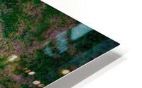 river wrap smart merged HD Metal print