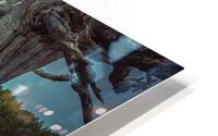 Osprey Peaking HD Metal print