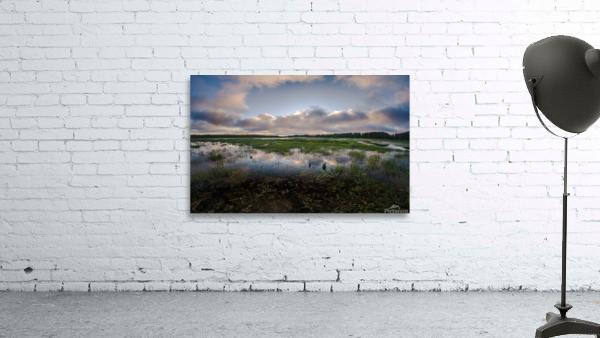 levasseur fluffy cloud reflect 1 Wall Preview