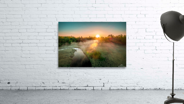 foggy carp 2 Wall Preview