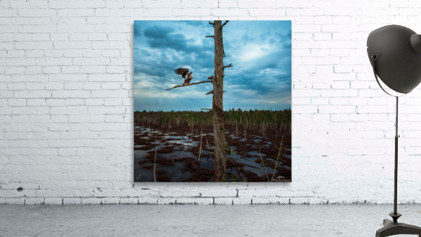 JUvy eagl Wall Preview