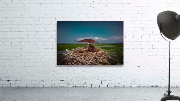 Pops Umbrella ella ella Wall Preview