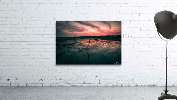 Pops on Fire Wall Preview