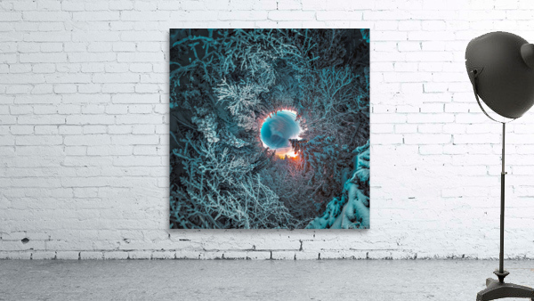 tree tip buffalo Wall Preview