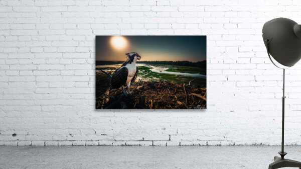 Osprey Hunted 2 Wall Preview